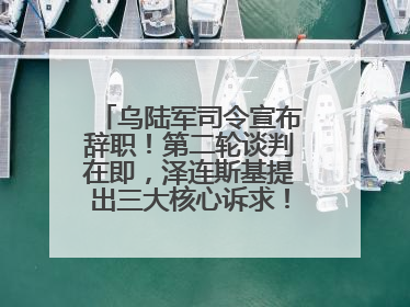 乌陆军司令宣布辞职！第二轮谈判在即，泽连斯基提出三大核心诉求！乌方透露摧毁41架俄战略轰炸机